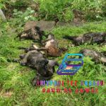 WhatsApp Image 2024-07-27 at 20.58.27_07094e22